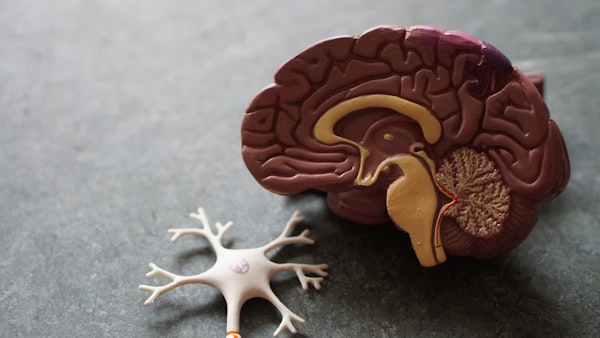 Neuro-Innovation